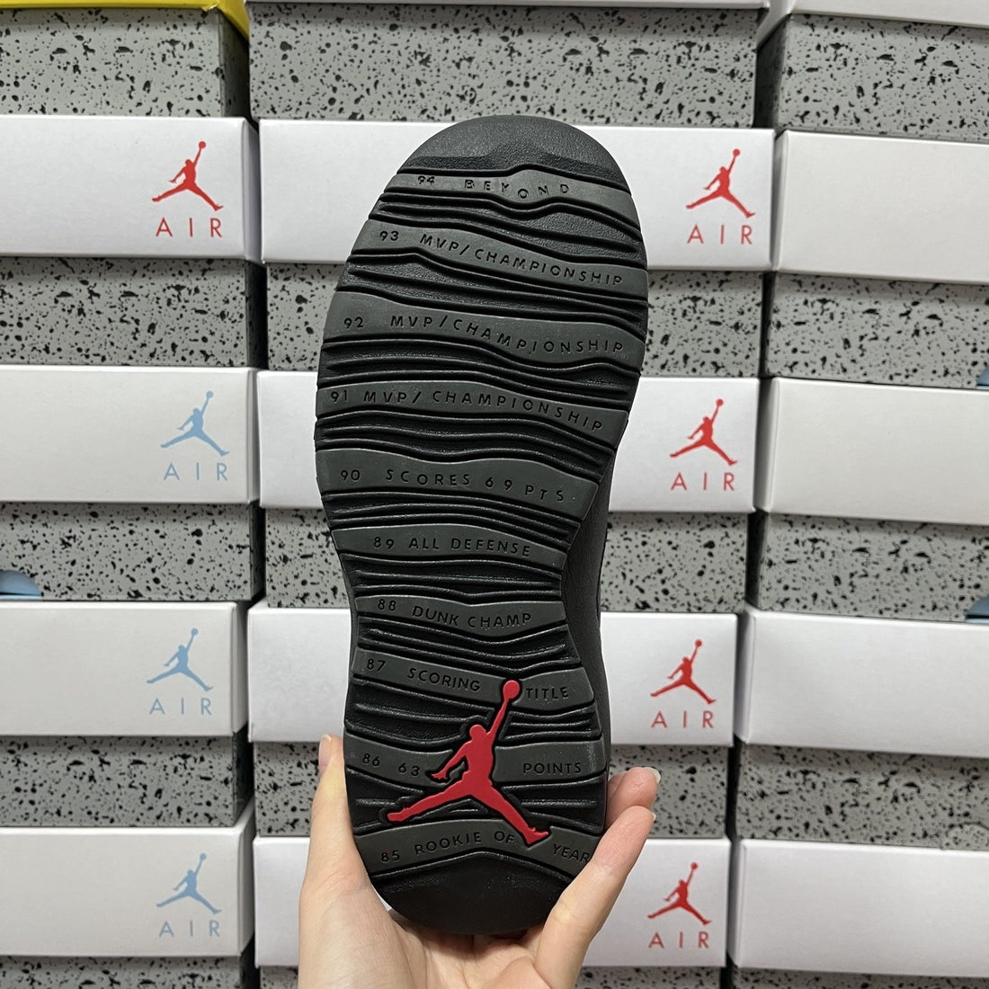 Air Jordan 10 Shadow Grey