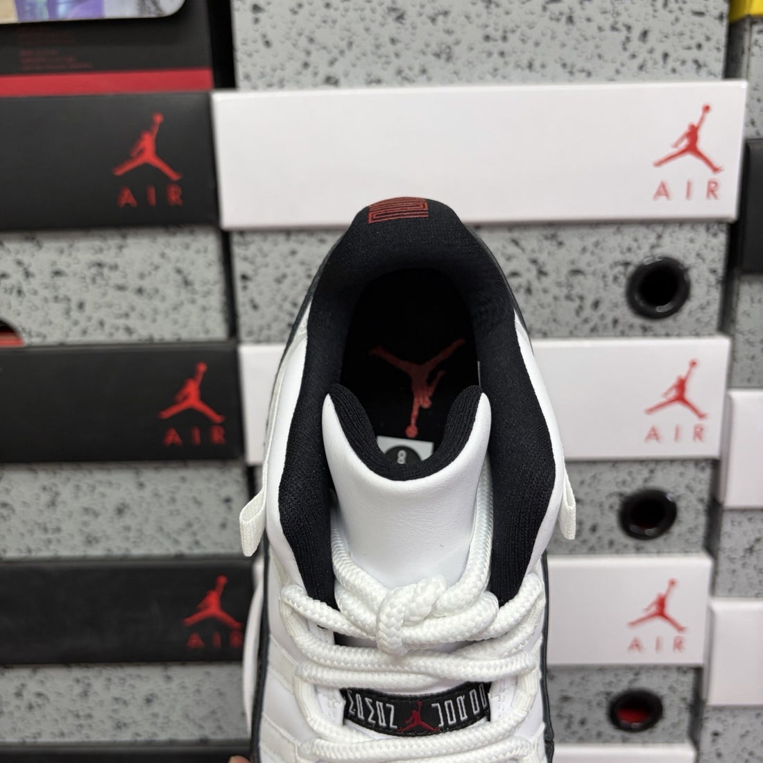 Air Jordan 11 Low Concord Bred