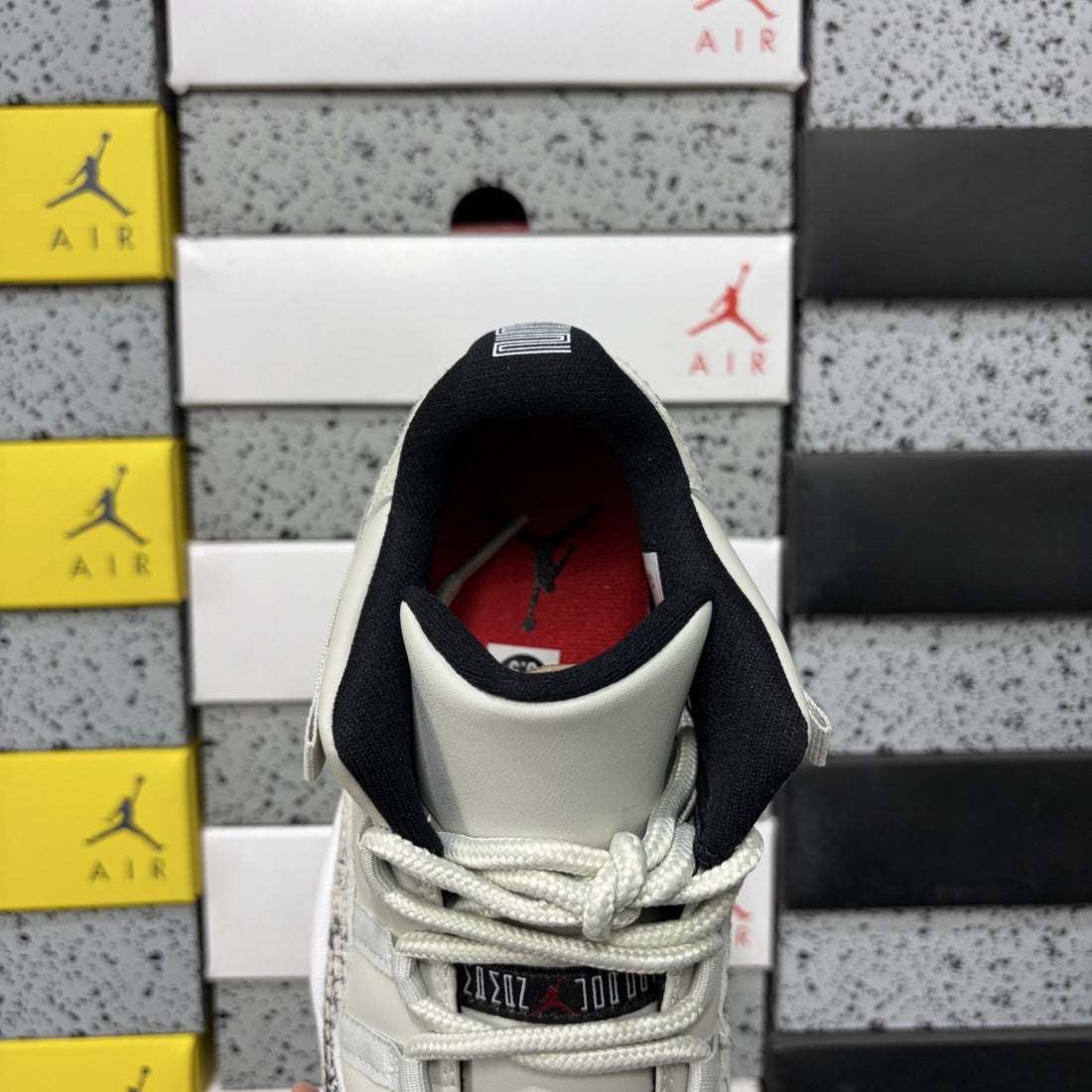Air Jordan 11 Low Snakeskin
