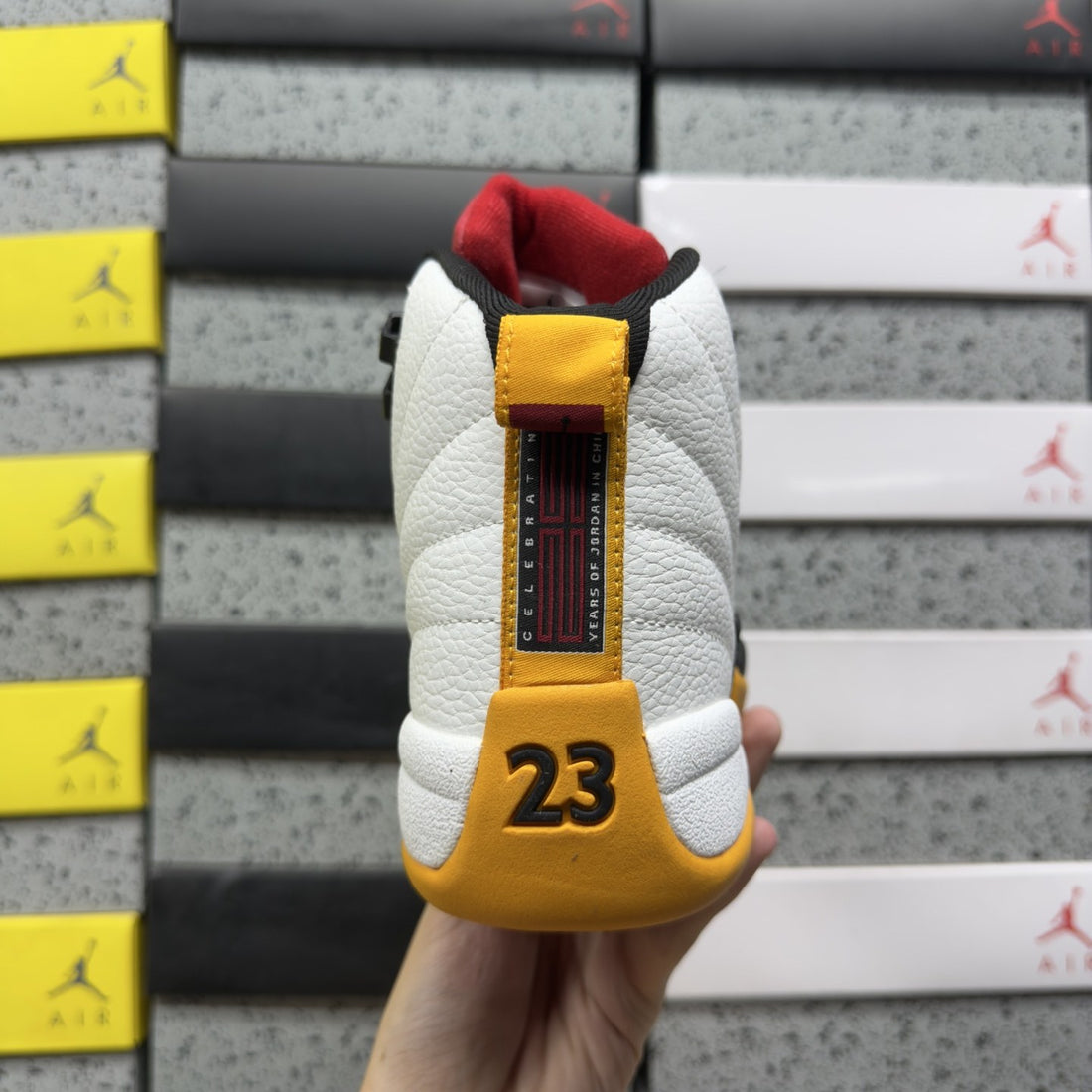 Air Jordan 12 Barons Orange