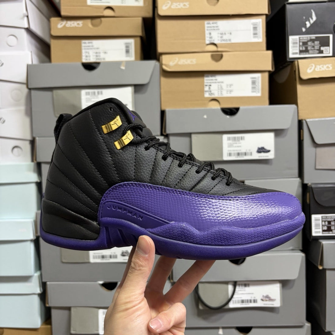 Air Jordan 12 Field Purple