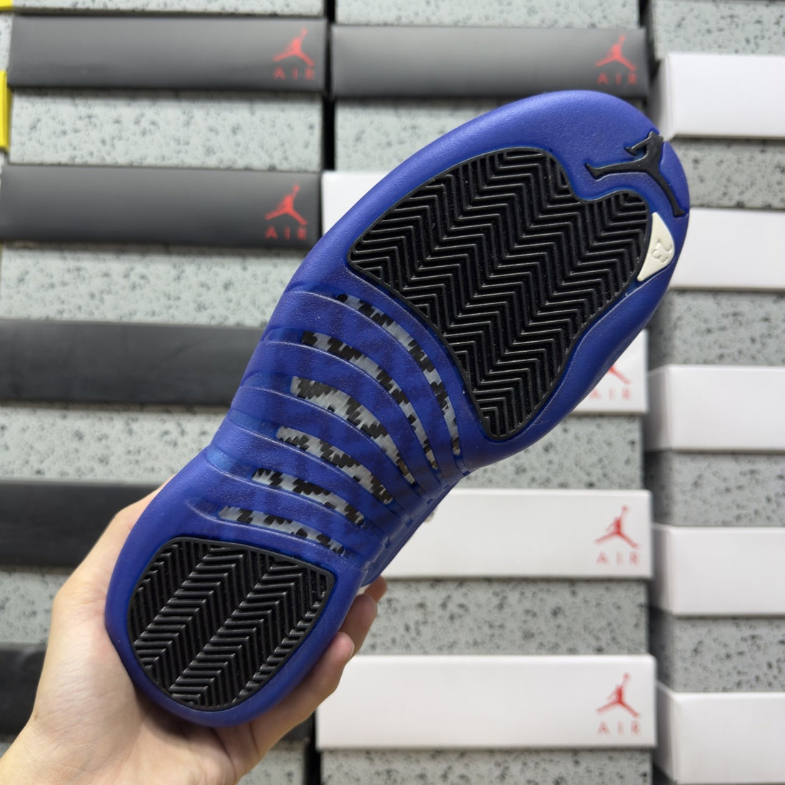 Air Jordan 12 Hyper Royal