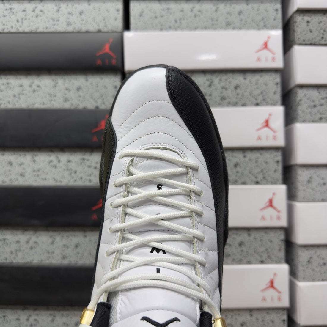 Air Jordan 12 Royalty Taxi