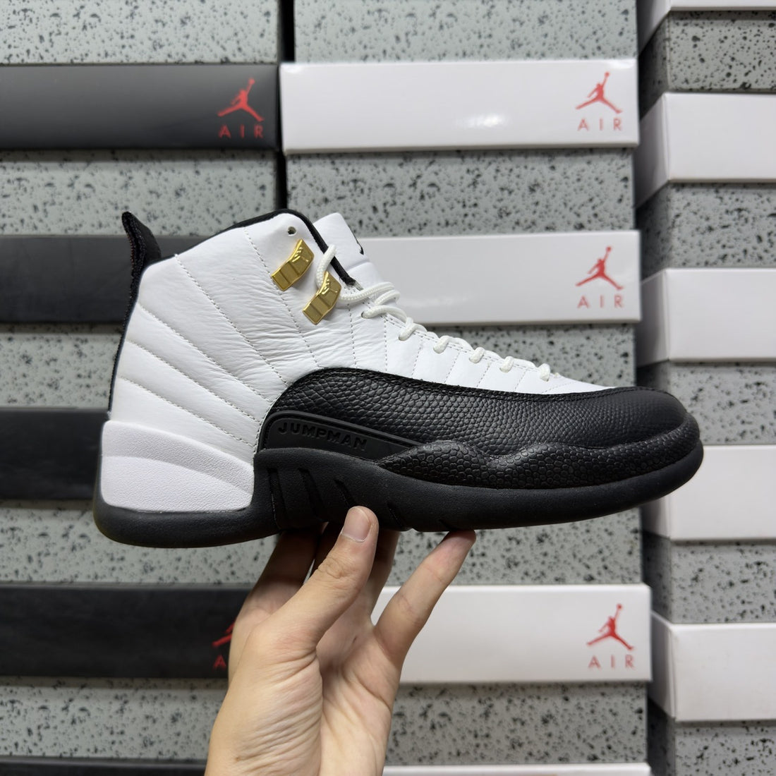 Air Jordan 12 Royalty Taxi