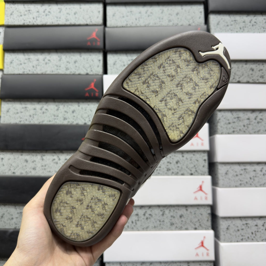 Air Jordan 12 Sail Brown