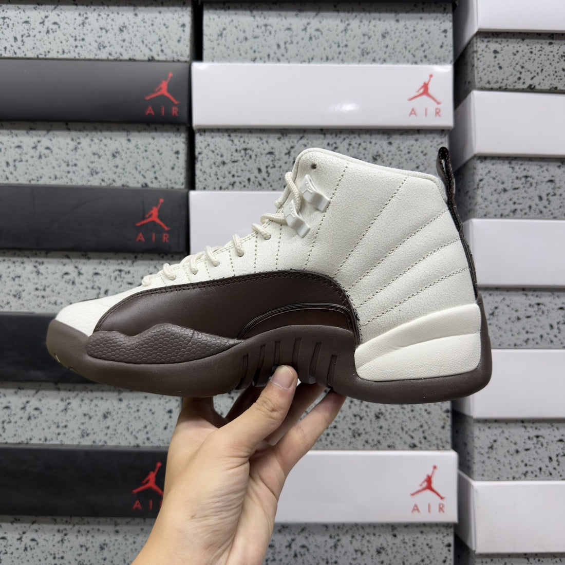Air Jordan 12 Sail Brown
