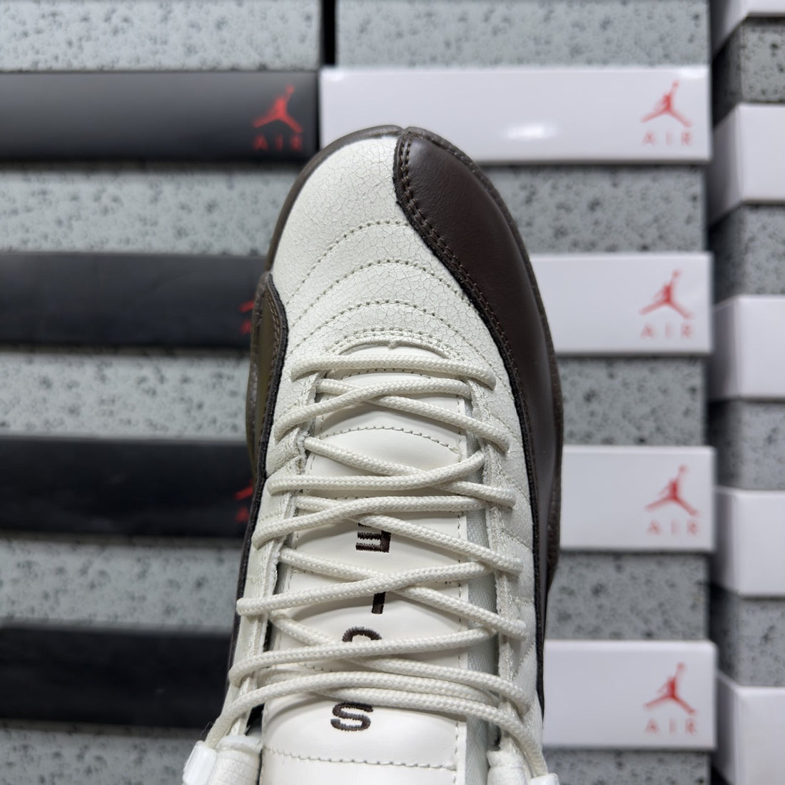 Air Jordan 12 Sail Brown