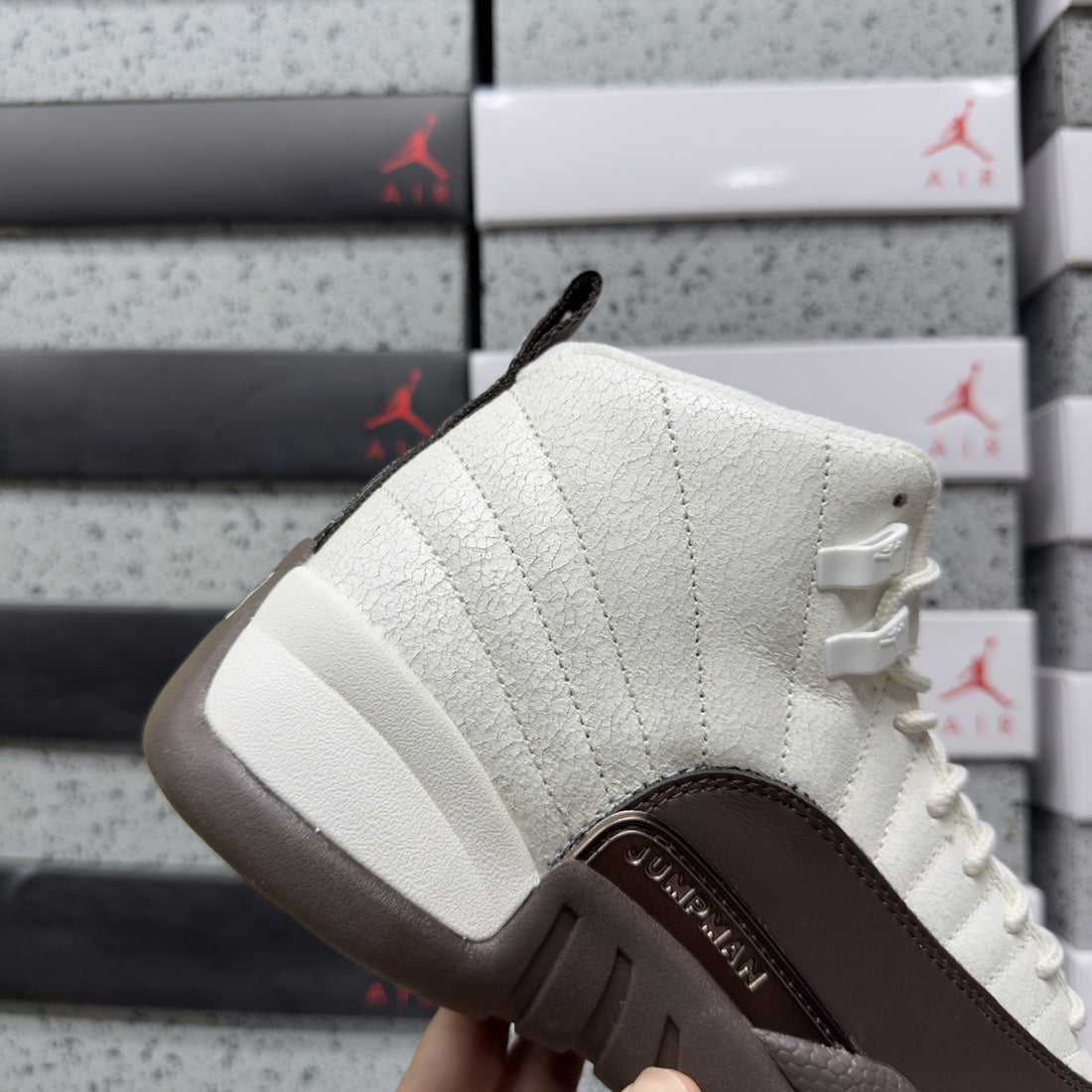 Air Jordan 12 Sail Brown