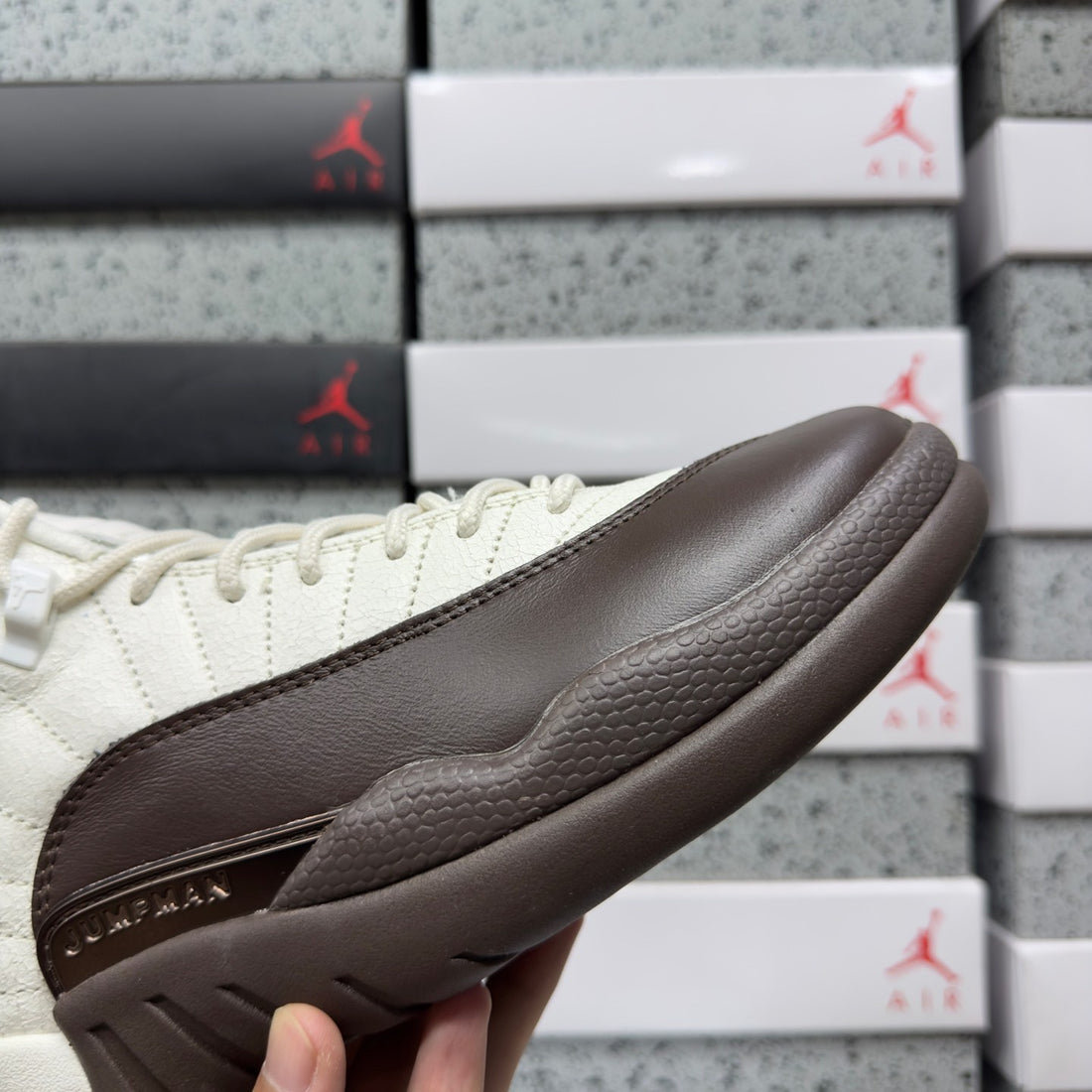 Air Jordan 12 Sail Brown