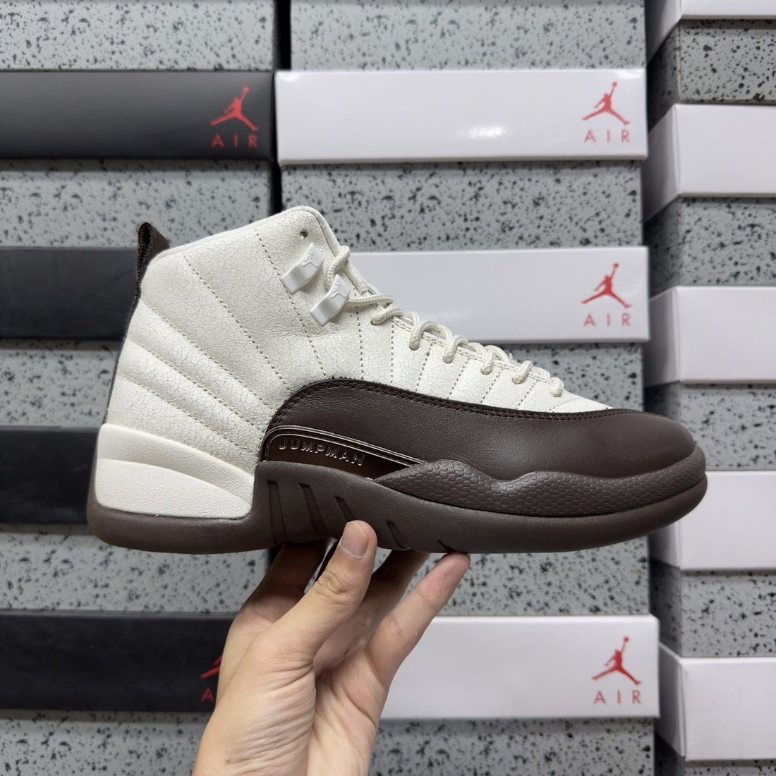 Air Jordan 12 Sail Brown