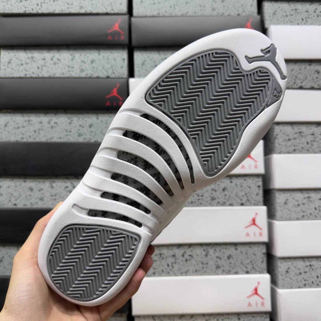 Air Jordan 12 Stealth