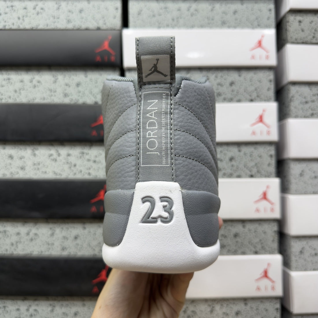 Air Jordan 12 Stealth