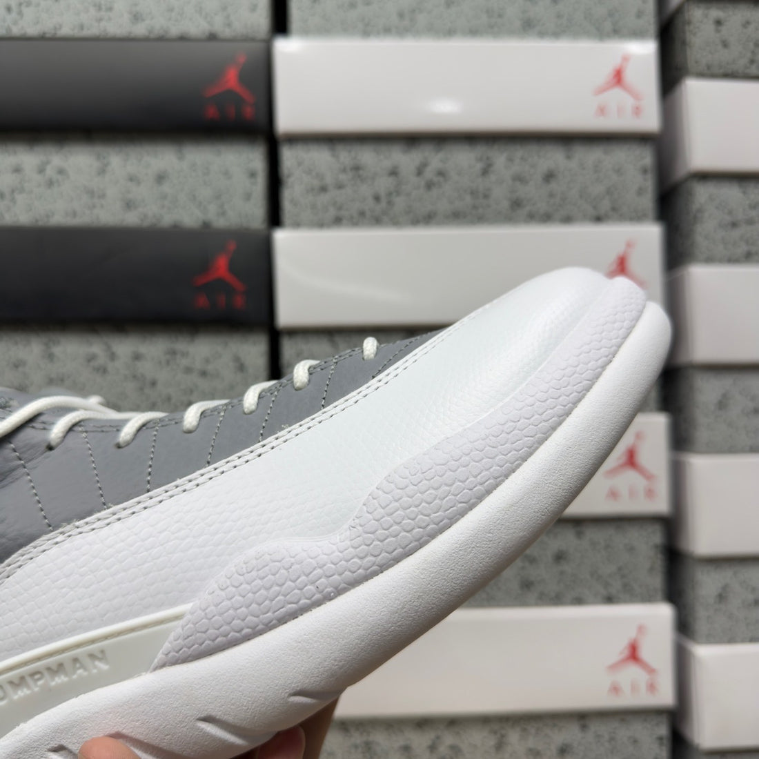 Air Jordan 12 Stealth