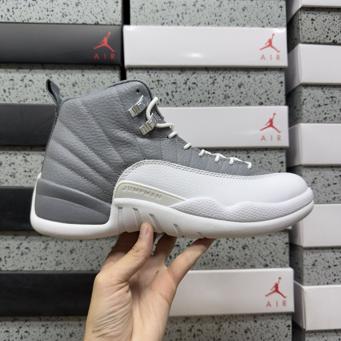 Air Jordan 12 Stealth
