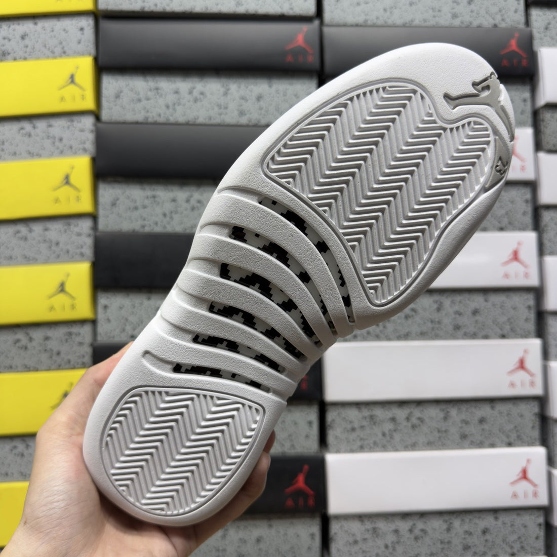 Air Jordan 12 White Chrome