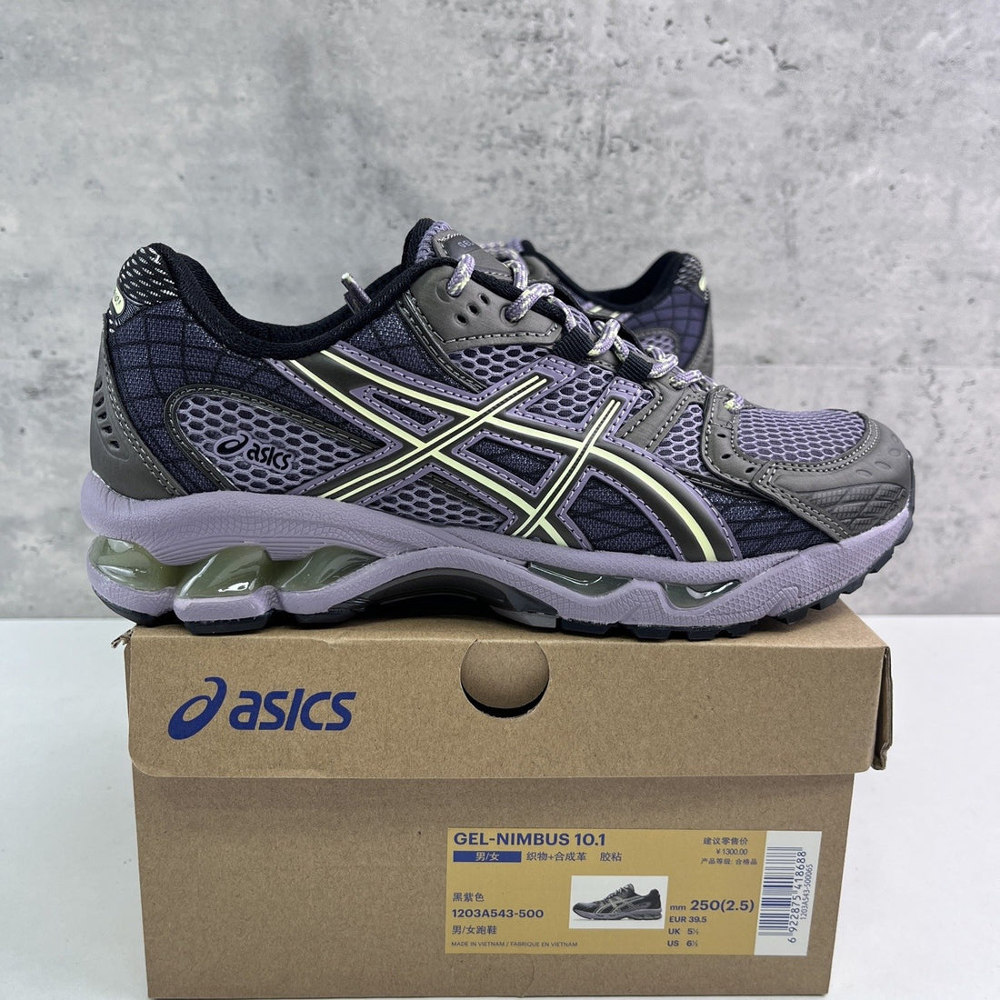 ASICS Gel-Nimbus 10.1 Purple Grey
